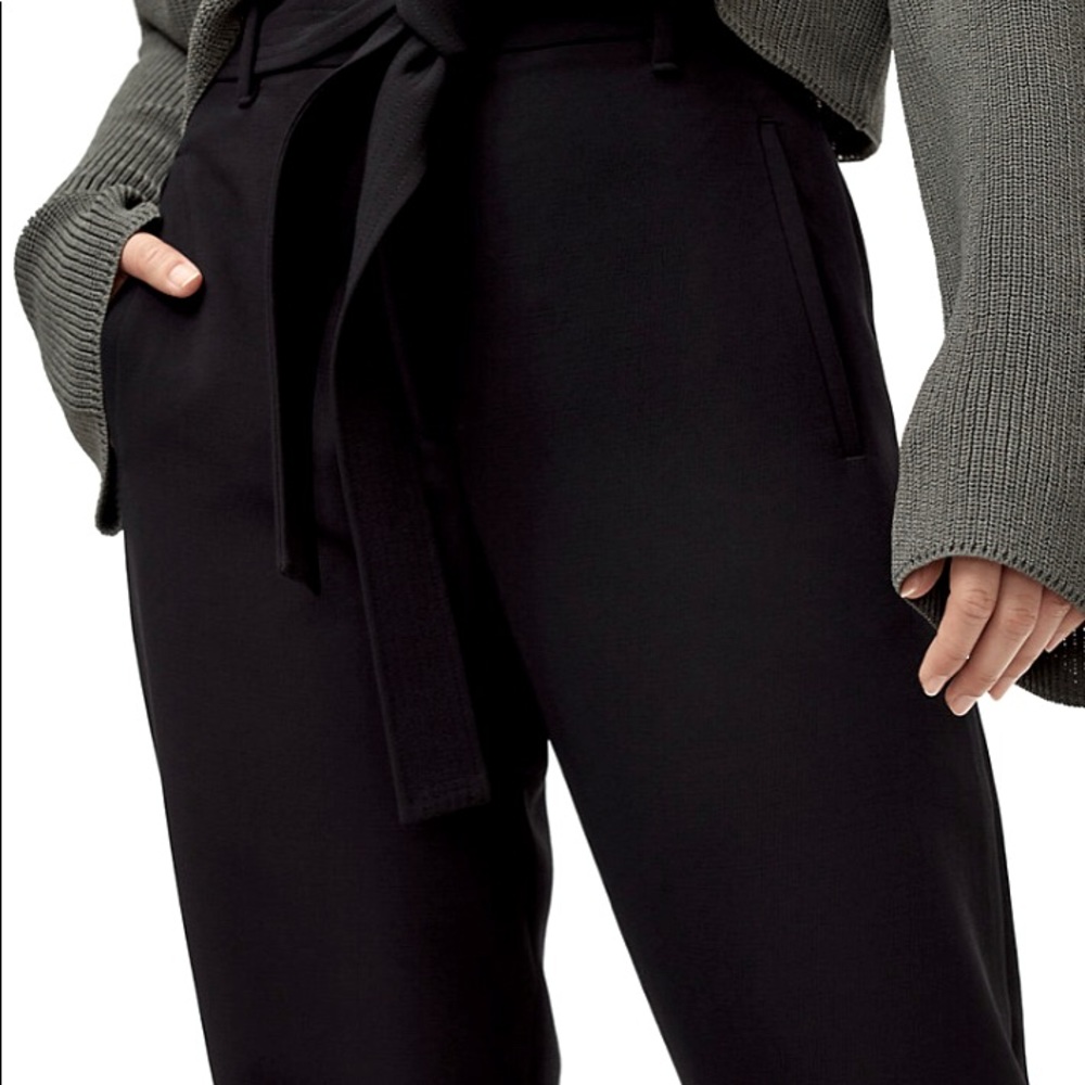 Aritzia Wilfred Black Tie Frint Pant